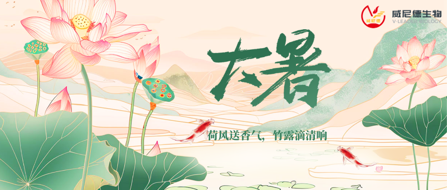 ����ʱ�ڿ��м������������Gene Pulser 830������ЧתȾ