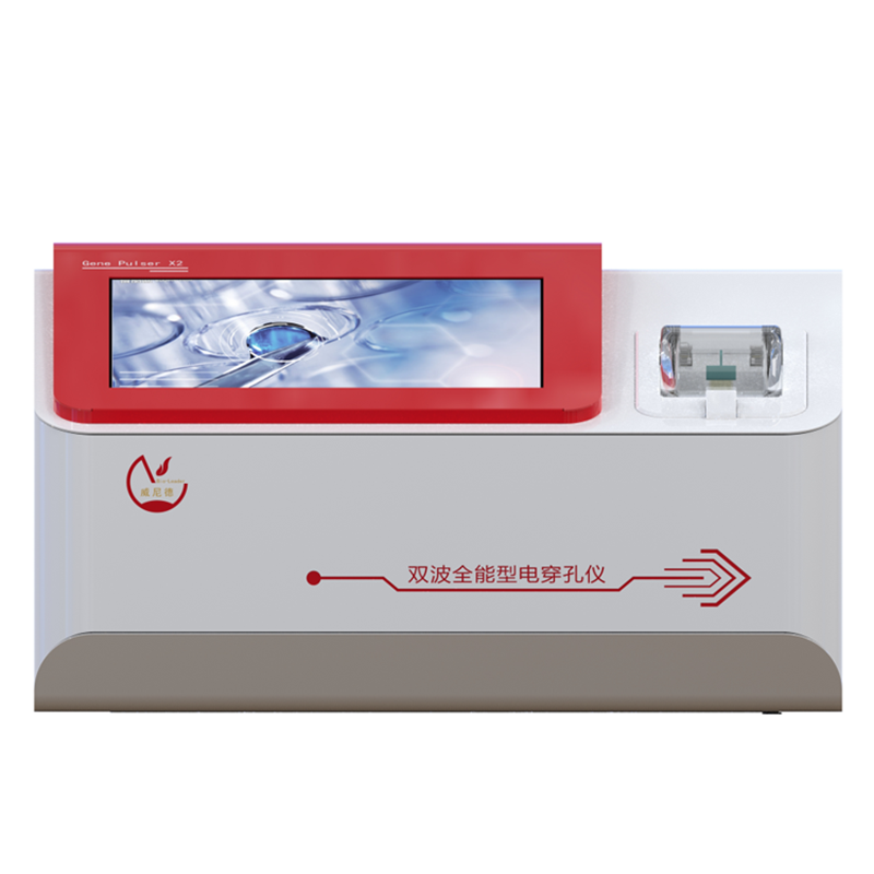 ��תȾЧ��Ӱ�����ص�̽��