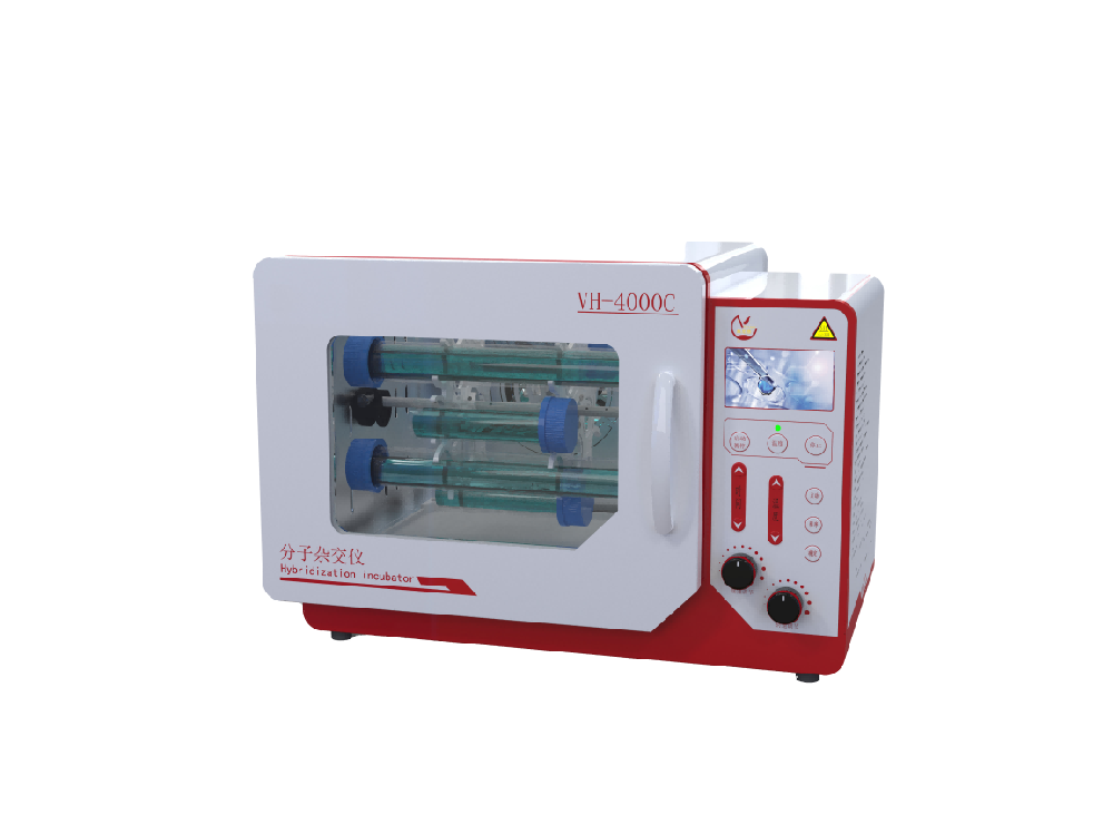 �����ӽ���